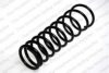 LESJ?FORS 4292504 Coil Spring